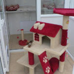 Wyes Cats Cattery, Monmouthshire