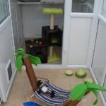 Wyes Cats Cattery, Monmouthshire