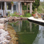 Wyes Cats Cattery, Monmouthshire